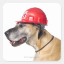 Search for great dane stickers Humour