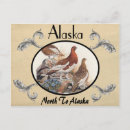 Search for state of alaska postcards Vintage