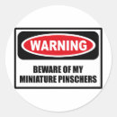 Search for miniature pinscher stickers Pets