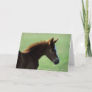 Search for backlit cards Foal