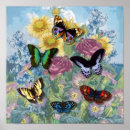 Search for beautiful butterflies posters Watercolor