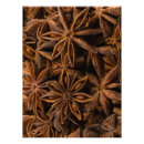 Search for herbs and spices posters Nature