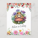 Search for frog postcards Vintage