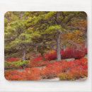 Search for national park mouse mats Fall