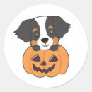 Search for bernese mountain dog lovers stickers Dogs