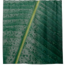 Search for banana leaf shower curtains Background