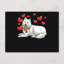 Search for samoyed dog postcards Funny