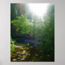 Search for gateway posters Forest