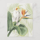 Search for foilage postcards Leaves