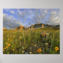 Search for many glacier posters Montana