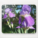 Search for purple iris mouse mats Summer