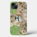 Search for cub ipad cases Nature