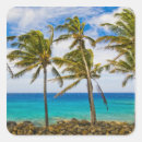Search for coconut tree stickers Beach