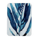 Search for blues magnets Abstract
