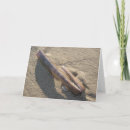 Search for clam cards Shells