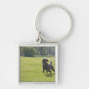 Search for frisbee key rings Flying