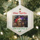 Search for santa cat christmas tree decorations Holly