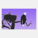 Search for bald rectangle stickers Eagle