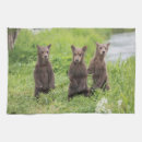 Search for brown bear tea towels Young animal