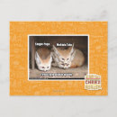 Search for options postcards I can has cheezburger