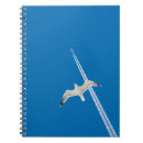 Search for aeroplane notebooks Blue sky
