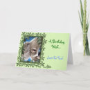 Search for koala picture cards Cute