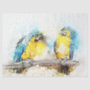 Search for parrot tissue paper Watercolor