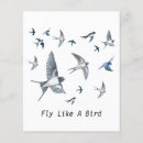 Search for bird flyers Animal