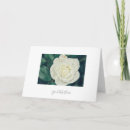 Search for gorgeous cards Floral