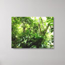 Search for rain forest canvas prints Nature