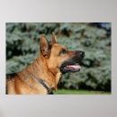 Search for headshot posters Panting