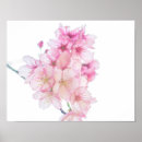 Search for soft focus posters Pink