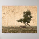 Search for vintage tree posters Country