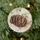 Search for redwoods trees christmas tree decorations Travel