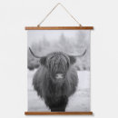 Search for highland art Cow