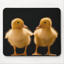 Search for duckling mouse mats Nature