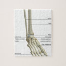 Search for human bones puzzles Small business