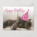 Search for funny kitty image cards Humour