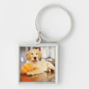 Search for toy dog key rings Cute