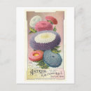 Search for aster postcards Floral