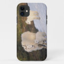 Search for herbivore electronics Wildlife