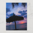 Search for aruba postcards Outdoors