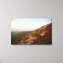 Search for acadia canvas prints Travel