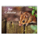 Search for rat calendars Animals