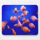 Search for fish school mouse mats Underwater