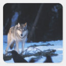 Search for grey wolf stickers Carnivore