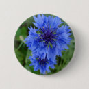 Search for cornflower badges Flowers