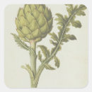 Search for artichoke stickers Fruit