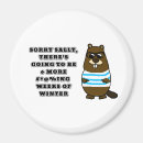 Search for sorry magnets Humour