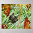 Search for dragonfly flying posters Digital